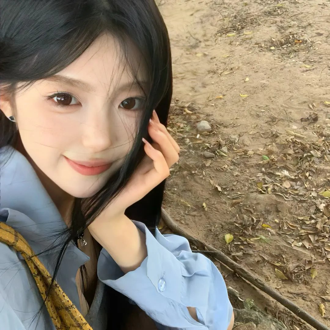 谍网纵横